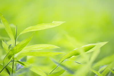 オンラインによるメンタルヘルス相談室 どんなことが相談できますか？