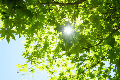 オンラインによるメンタルヘルス相談室お約束